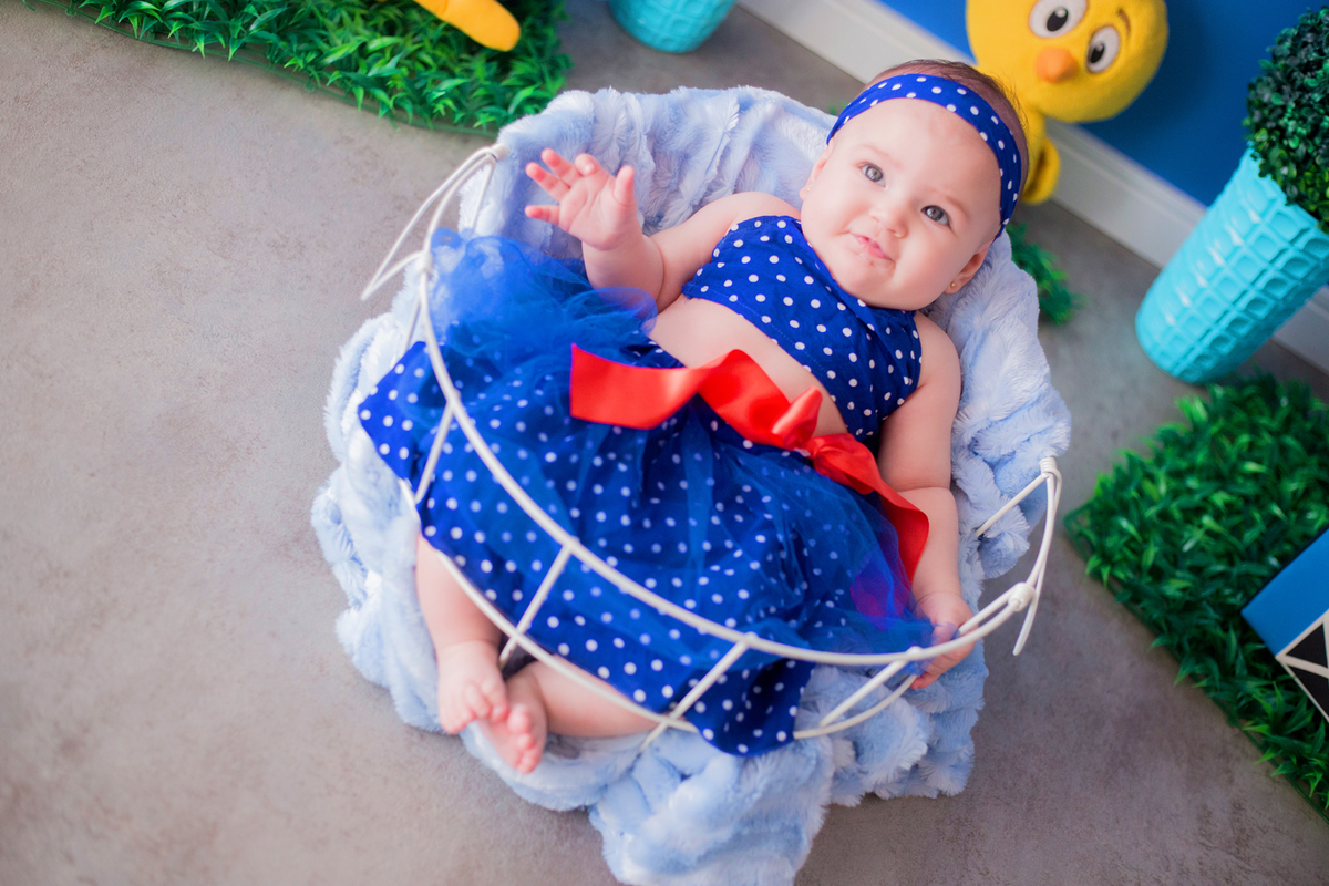acompanhamento mensal de bebe caxias do sul figurino cenario tematico  personagem foto infantil serra gaucha fotografia familia mundo azul rosa ensaio fotografico crianca newborn baby menino menina smash the cake esmague o bolo galinha pintadinha