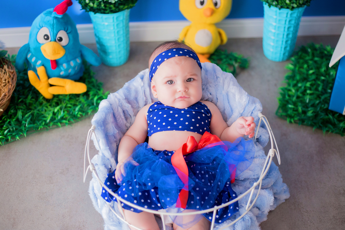 acompanhamento mensal de bebe caxias do sul figurino cenario tematico  personagem foto infantil serra gaucha fotografia familia mundo azul rosa ensaio fotografico crianca newborn baby menino menina smash the cake esmague o bolo galinha pintadinha