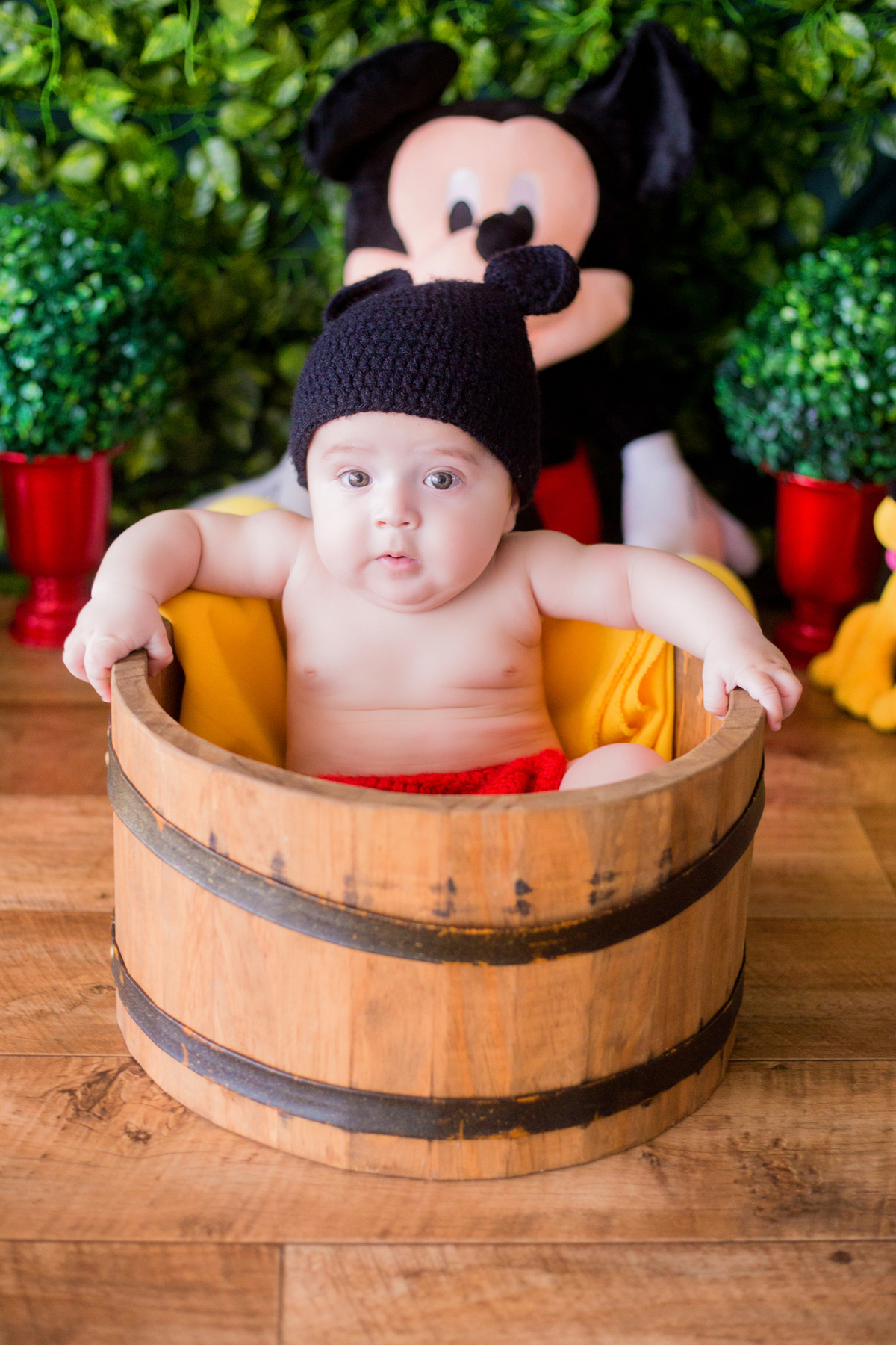 acompanhamento mensal de bebe caxias do sul figurino cenario tematico  personagem foto infantil serra gaucha fotografia familia mundo azul rosa ensaio fotografico crianca newborn baby menino menina smash the cake esmague o bolo mickey disney pluto