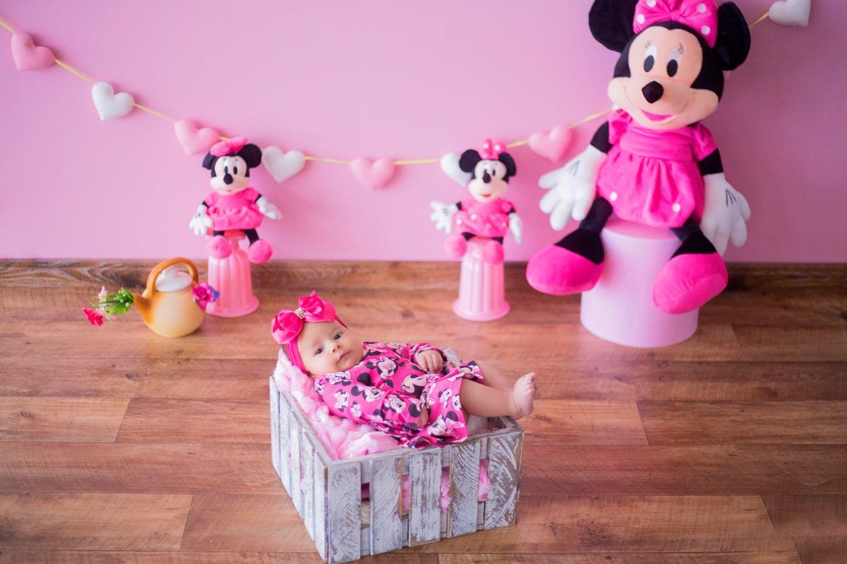acompanhamento mensal de bebe caxias do sul figurino cenario tematico  personagem foto infantil serra gaucha fotografia familia mundo azul rosa ensaio fotografico crianca newborn baby menino menina smash the cake esmague o bolo minnie rosa disney princess
