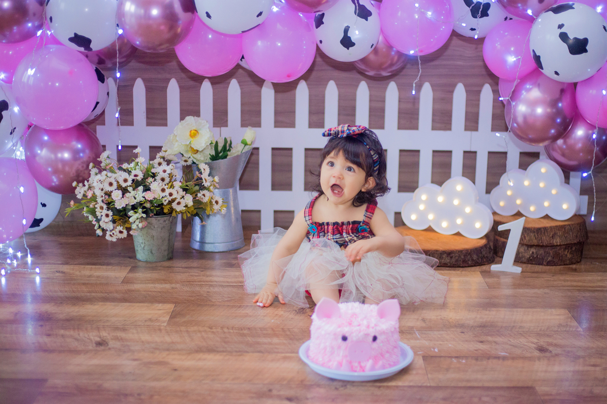 acompanhamento mensal de bebe caxias do sul figurino cenario tematico  personagem foto infantil serra gaucha fotografia familia mundo azul rosa ensaio fotografico crianca newborn baby menino menina smash the cake esmague o bolo fazendinha splash