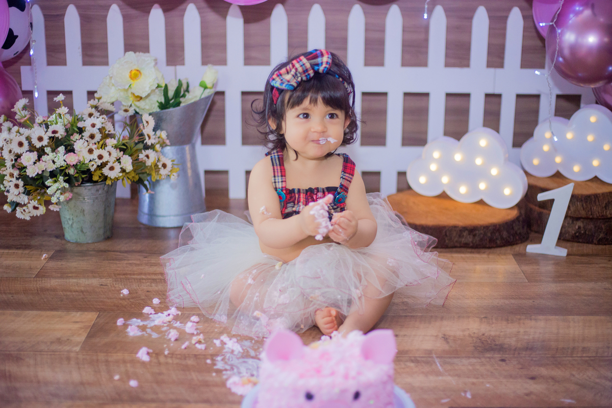 acompanhamento mensal de bebe caxias do sul figurino cenario tematico  personagem foto infantil serra gaucha fotografia familia mundo azul rosa ensaio fotografico crianca newborn baby menino menina smash the cake esmague o bolo fazendinha splash