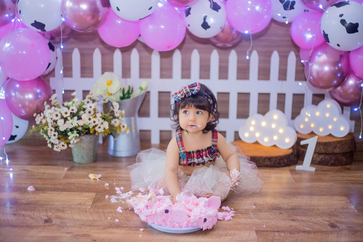 acompanhamento mensal de bebe caxias do sul figurino cenario tematico  personagem foto infantil serra gaucha fotografia familia mundo azul rosa ensaio fotografico crianca newborn baby menino menina smash the cake esmague o bolo fazendinha splash