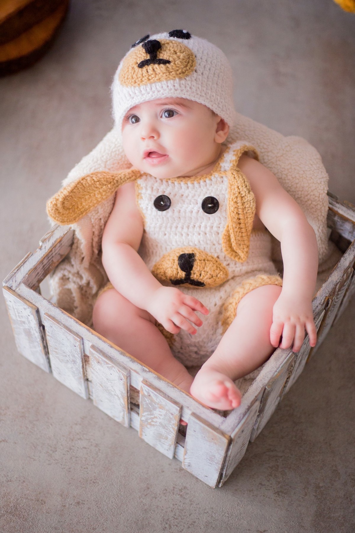 acompanhamento mensal de bebe caxias do sul figurino cenario tematico  personagem foto infantil serra gaucha fotografia familia mundo azul rosa ensaio fotografico crianca newborn baby menino menina smash the cake esmague o bolo banheira cachorrinho