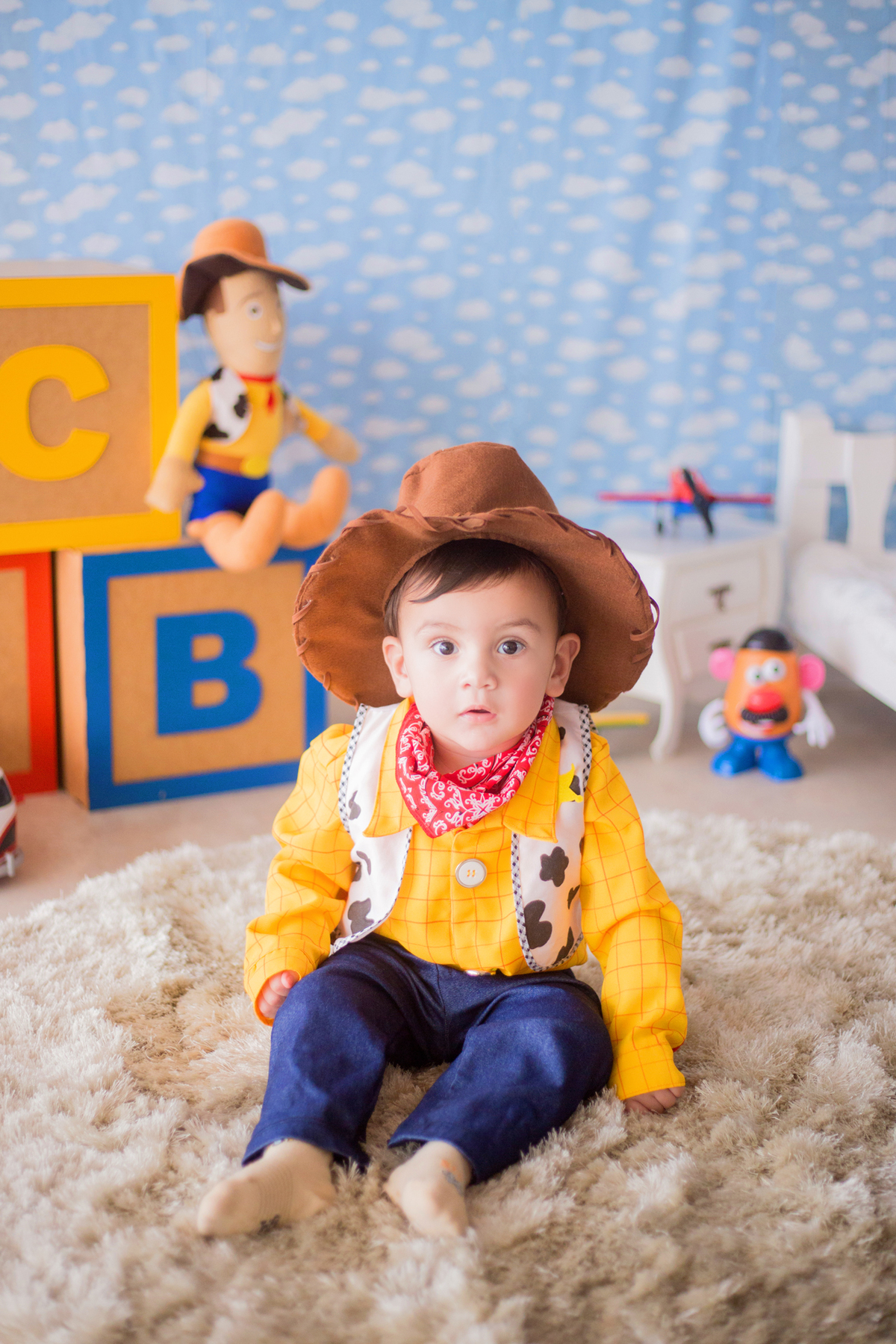 acompanhamento mensal de bebe caxias do sul figurino cenario tematico  personagem foto infantil serra gaucha fotografia familia mundo azul rosa ensaio fotografico crianca newborn baby menino menina smash the cake esmague o bolo banheira toy story woody