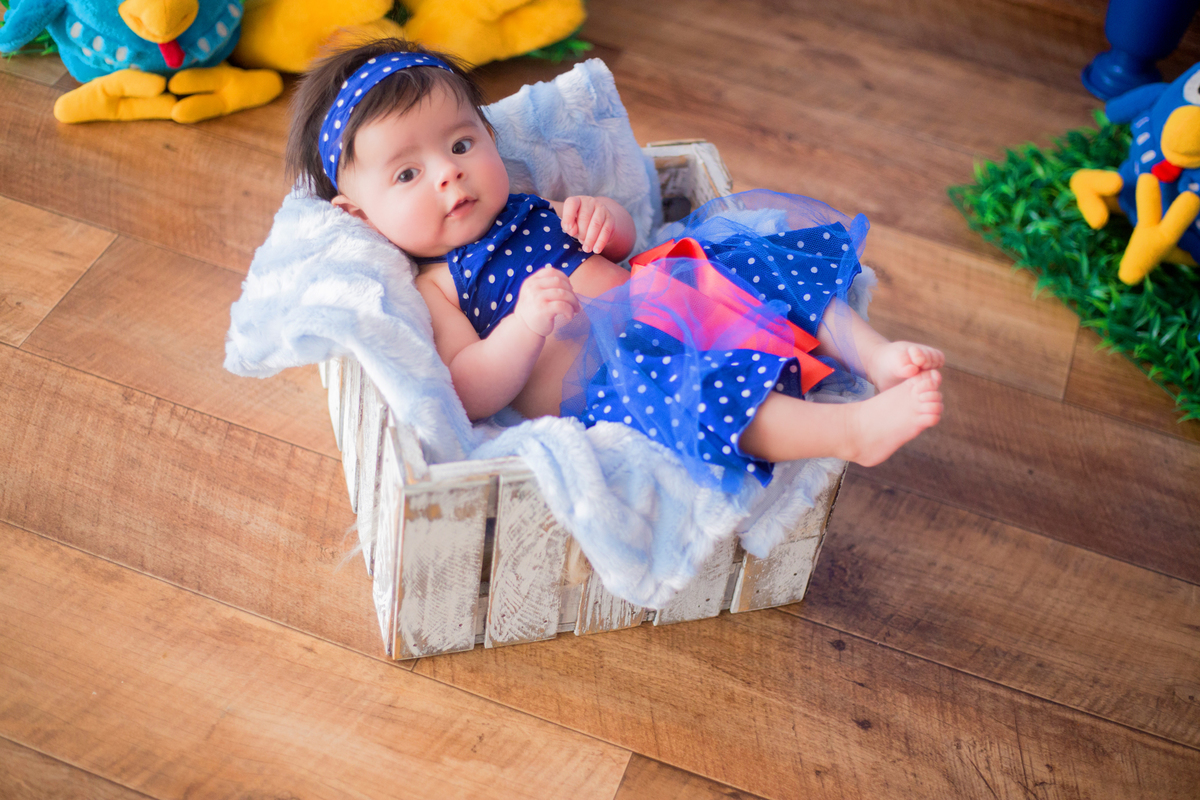 acompanhamento mensal de bebe caxias do sul figurino cenario tematico  personagem foto infantil serra gaucha fotografia familia mundo azul rosa ensaio fotografico crianca newborn baby menino menina smash the cake esmague o bolo banheira dia dos pais