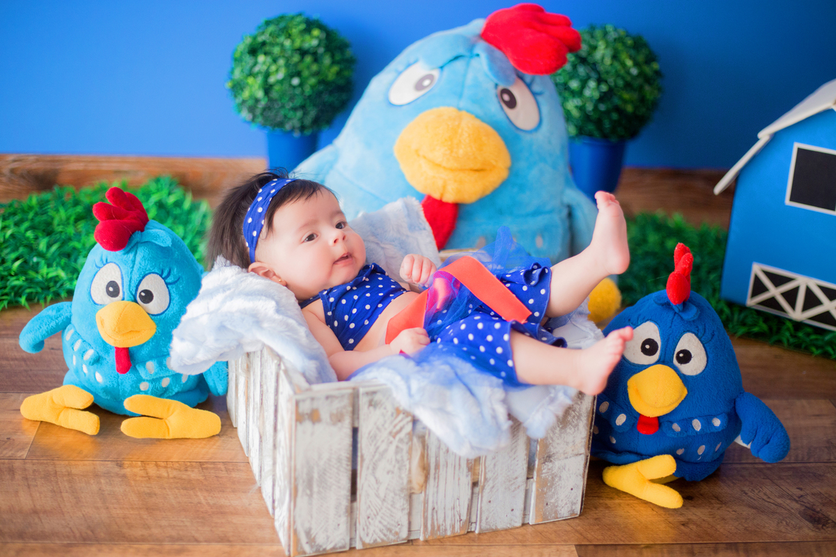 acompanhamento mensal de bebe caxias do sul figurino cenario tematico  personagem foto infantil serra gaucha fotografia familia mundo azul rosa ensaio fotografico crianca newborn baby menino menina smash the cake esmague o bolo banheira dia dos pais