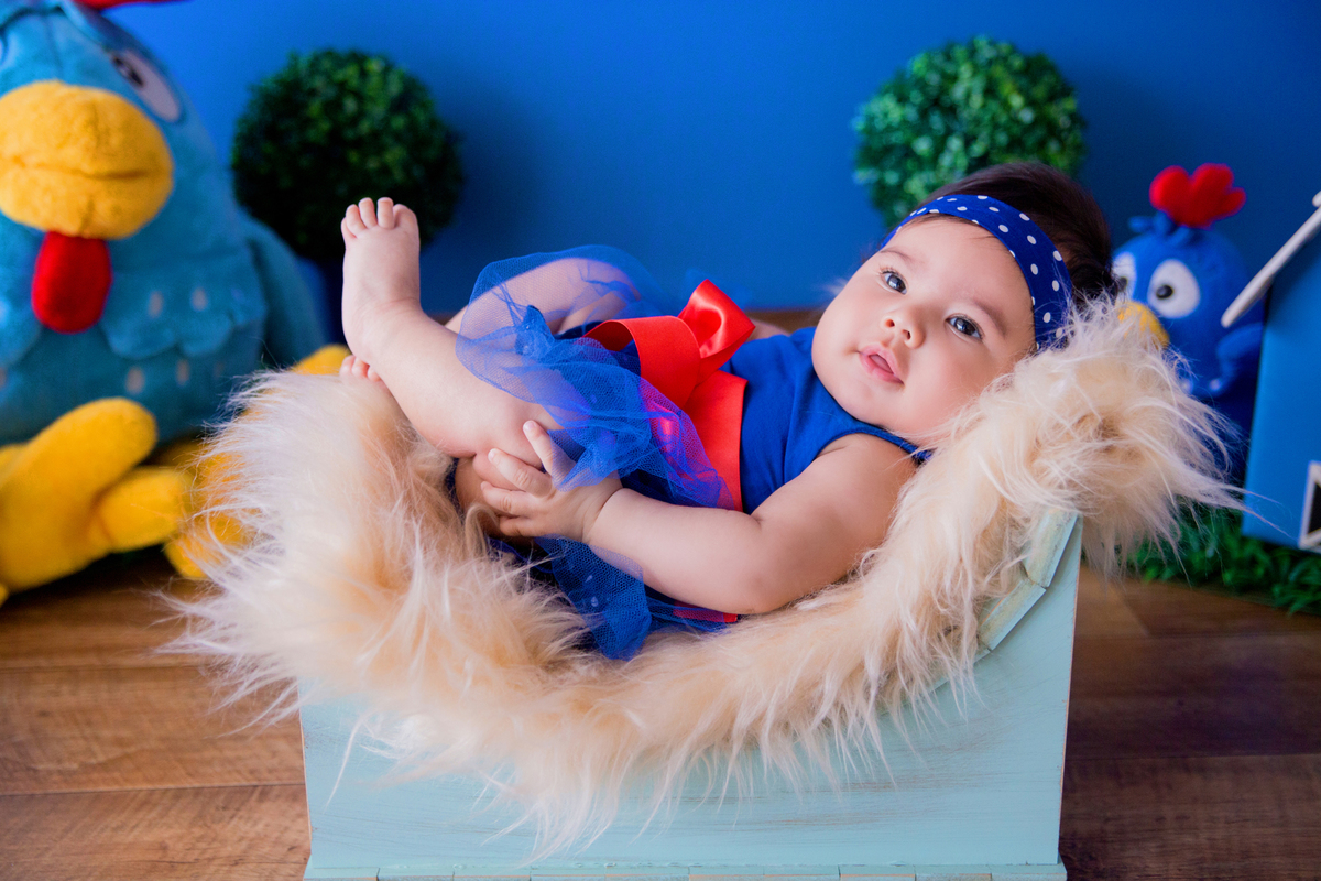 acompanhamento mensal de bebe caxias do sul figurino cenario tematico  personagem foto infantil serra gaucha fotografia familia mundo azul rosa ensaio fotografico crianca newborn baby menino menina smash the cake esmague o bolo banheira galinha pintadinha