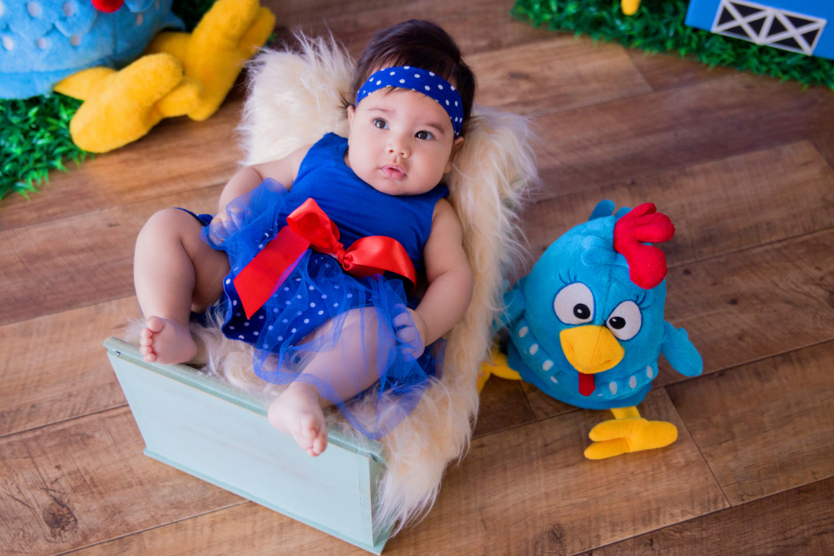 acompanhamento mensal de bebe caxias do sul figurino cenario tematico  personagem foto infantil serra gaucha fotografia familia mundo azul rosa ensaio fotografico crianca newborn baby menino menina smash the cake esmague o bolo banheira galinha pintadinha
