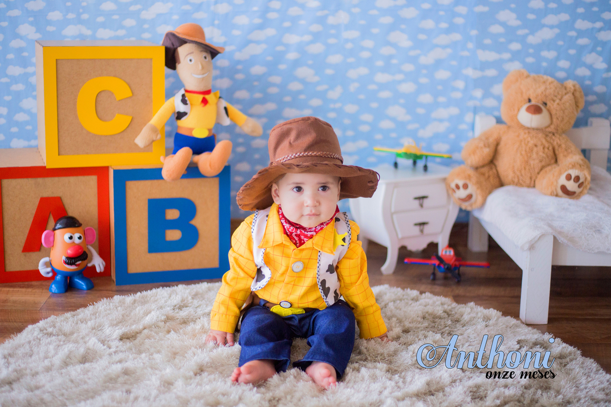 acompanhamento mensal de bebe caxias do sul figurino cenario tematico  personagem foto infantil serra gaucha fotografia familia mundo azul rosa ensaio fotografico crianca newborn baby menino menina smash the cake esmague o bolo banheira toy story