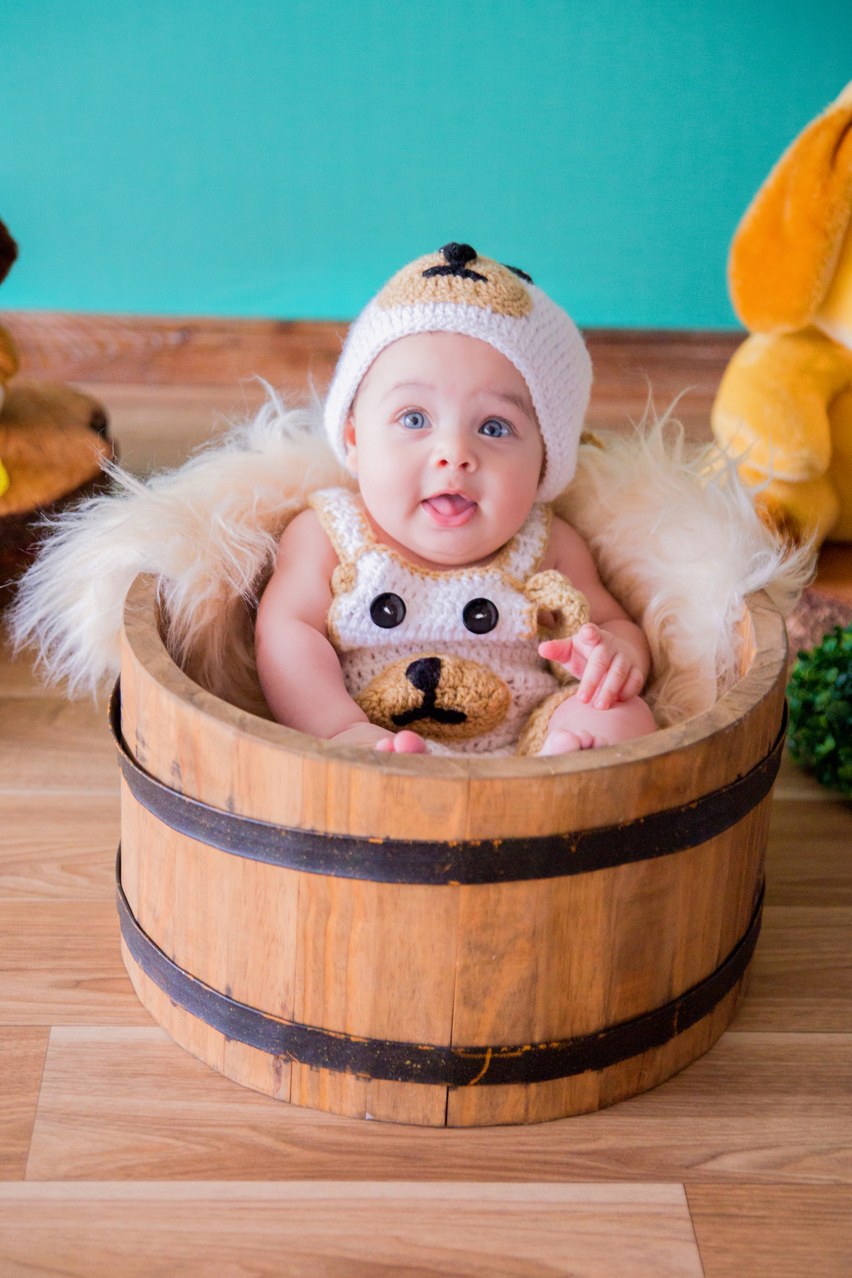 acompanhamento mensal de bebe caxias do sul figurino cenario tematico  personagem foto infantil serra gaucha fotografia familia mundo azul rosa ensaio fotografico crianca newborn baby menino menina smash the cake esmague o bolo banheira procurando cachorr