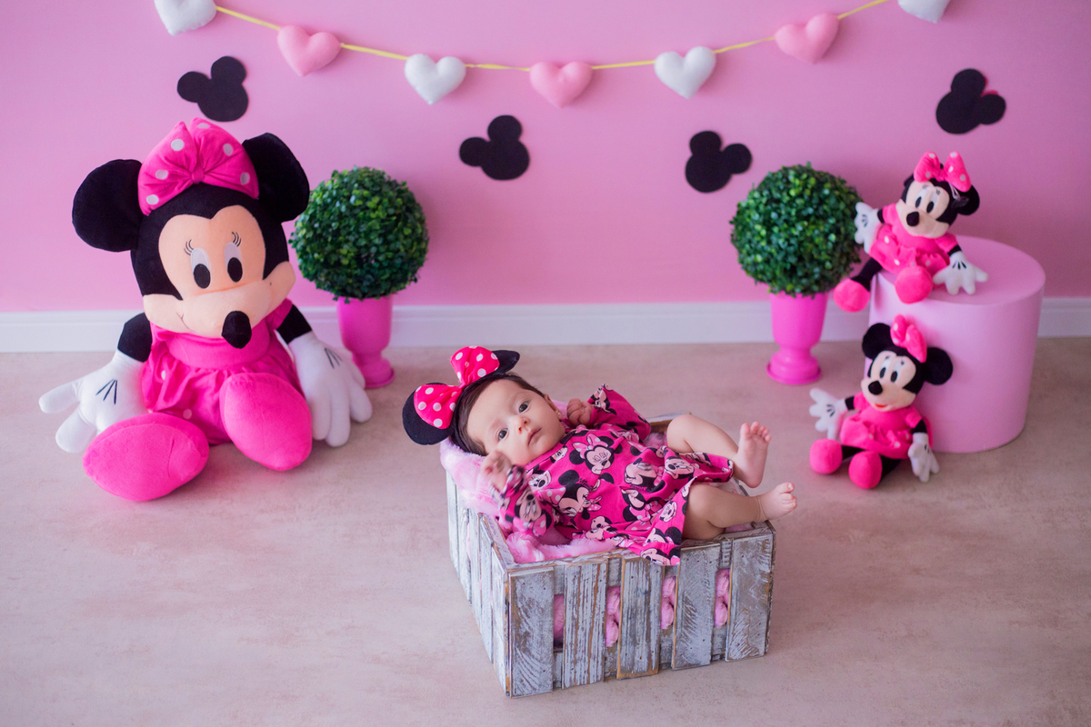 acompanhamento mensal de bebe caxias do sul figurino cenario tematico  personagem foto infantil serra gaucha fotografia familia mundo azul rosa ensaio fotografico crianca newborn baby menino menina smash the cake esmague o bolo banheira minnie rosa