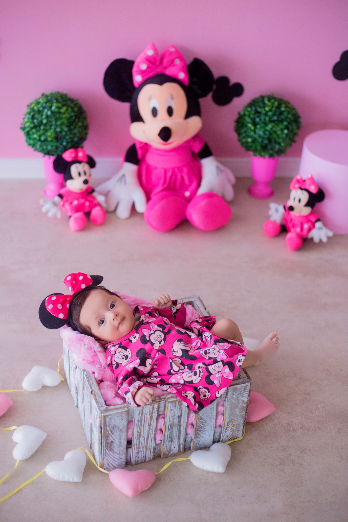 acompanhamento mensal de bebe caxias do sul figurino cenario tematico  personagem foto infantil serra gaucha fotografia familia mundo azul rosa ensaio fotografico crianca newborn baby menino menina smash the cake esmague o bolo banheira minnie rosa