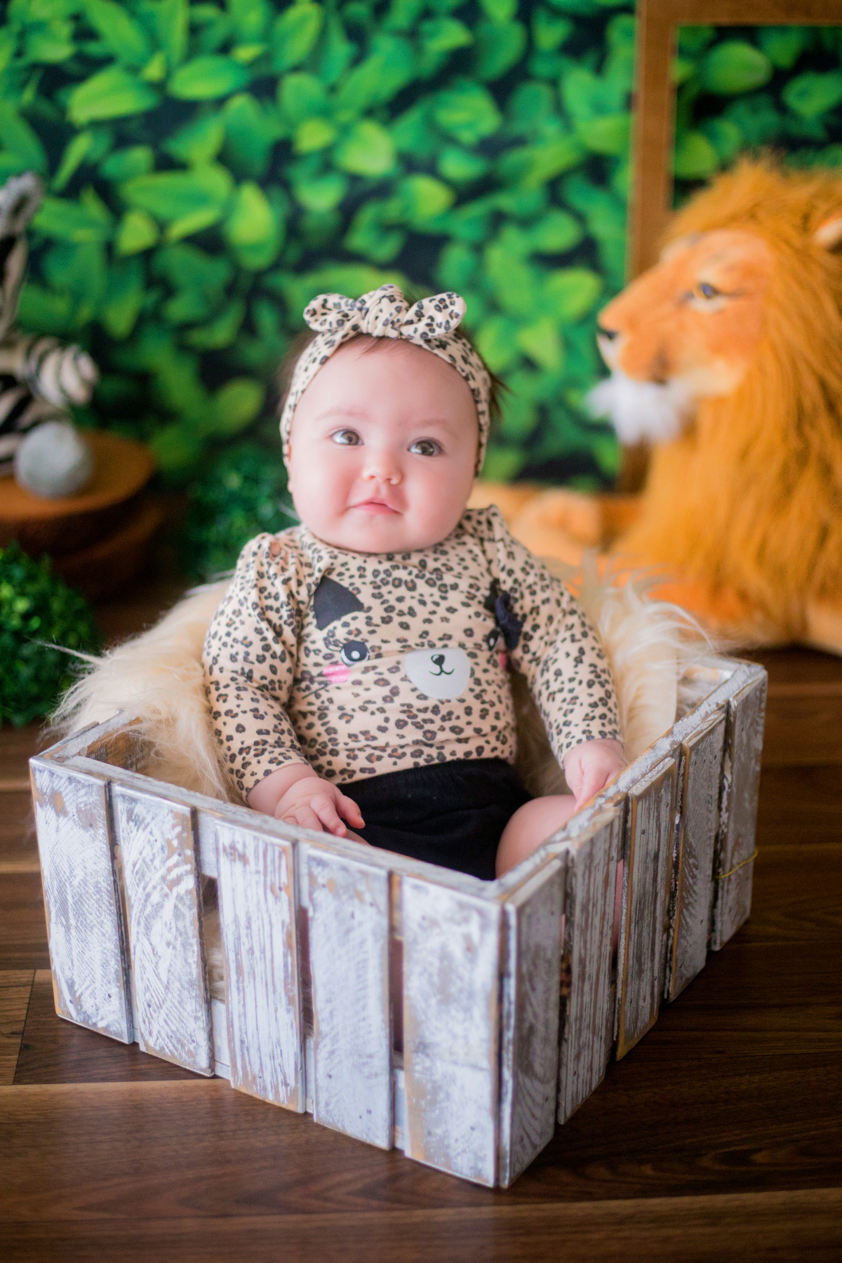 acompanhamento mensal de bebe caxias do sul figurino cenario tematico  personagem foto infantil serra gaucha fotografia familia mundo azul rosa ensaio fotografico crianca newborn baby menino menina smash the cake esmague o bolo banheira urso