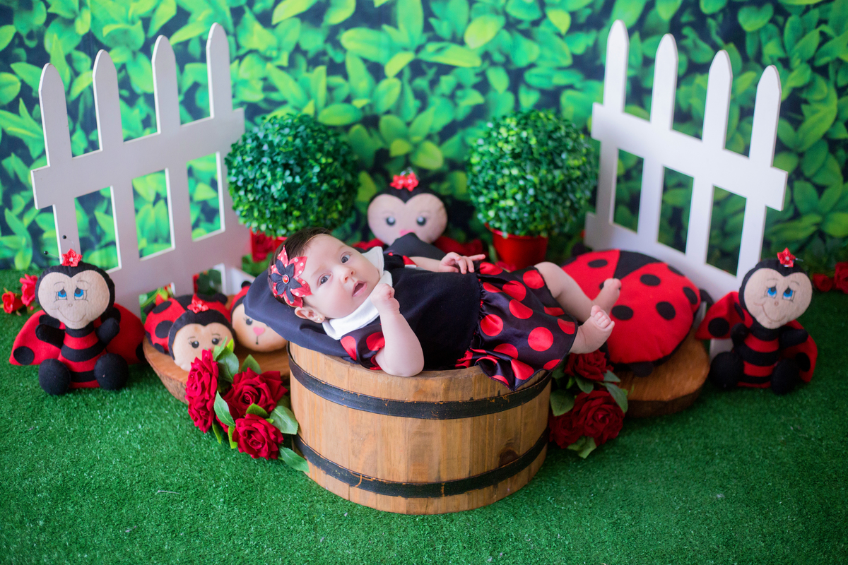 acompanhamento mensal de bebe caxias do sul figurino cenario tematico  personagem foto infantil serra gaucha fotografia familia mundo azul rosa ensaio fotografico crianca newborn baby menino menina smash the cake esmague o bolo banheira urso