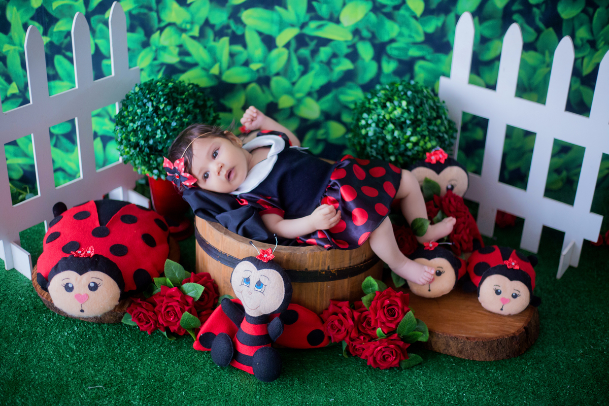 acompanhamento mensal de bebe caxias do sul figurino cenario tematico  personagem foto infantil serra gaucha fotografia familia mundo azul rosa ensaio fotografico crianca newborn baby menino menina smash the cake esmague o bolo banheira urso