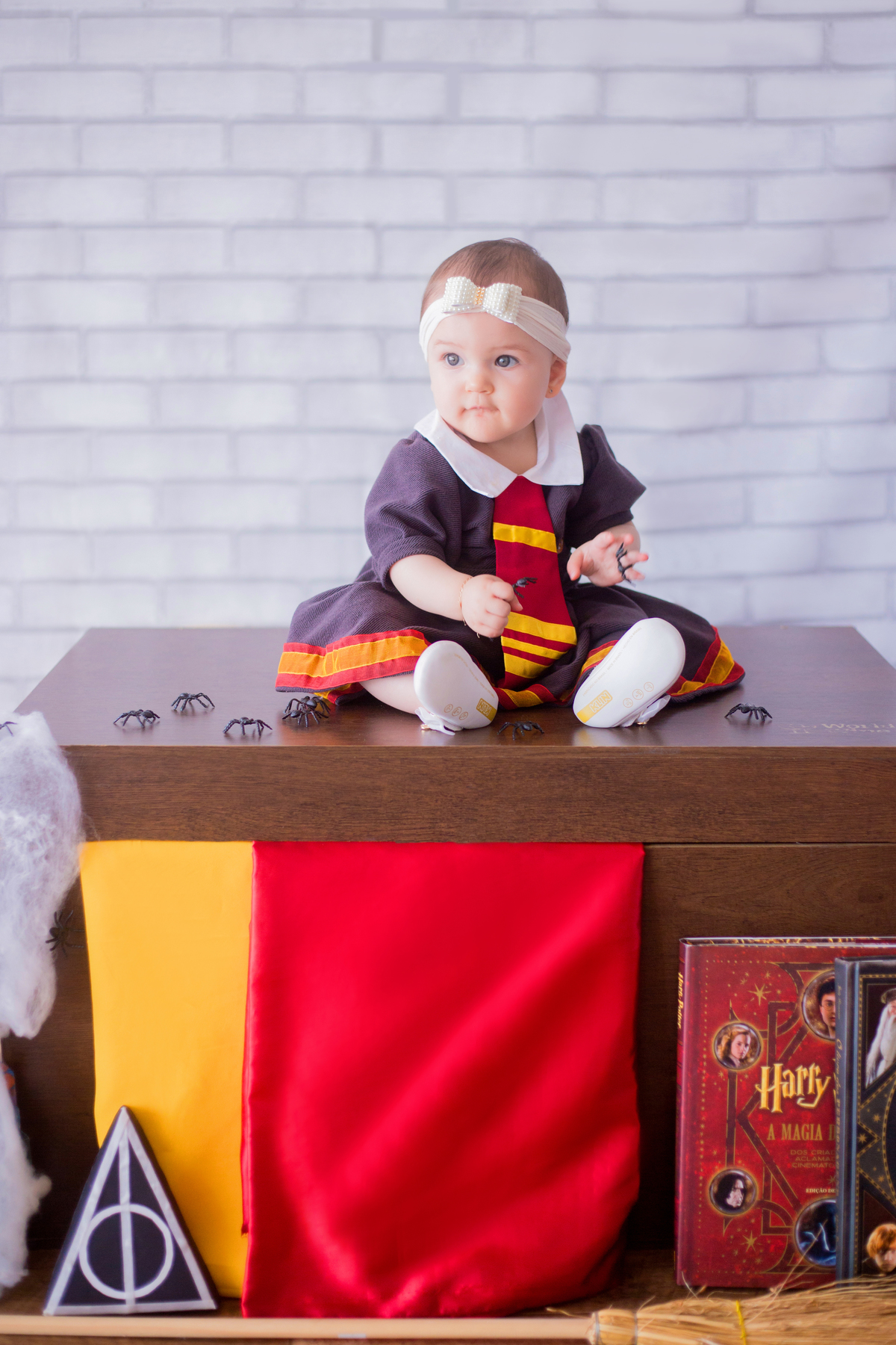 acompanhamento mensal de bebe caxias do sul figurino cenario tematico  personagem foto infantil serra gaucha fotografia familia mundo azul rosa ensaio fotografico crianca newborn baby menino menina smash the cake esmague o bolo banheira urso harry potter