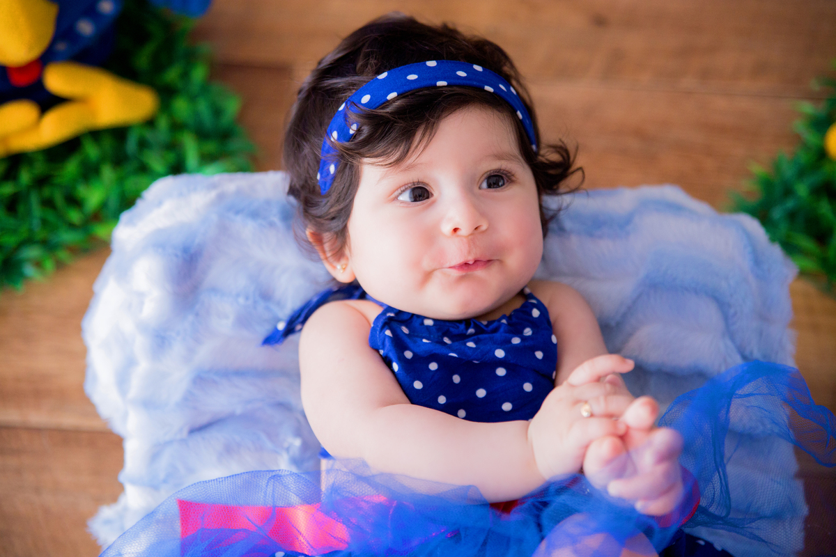 acompanhamento mensal de bebe caxias do sul figurino cenario tematico  personagem foto infantil serra gaucha fotografia familia mundo azul rosa ensaio fotografico crianca newborn baby menino menina smash the cake esmague o bolo banheira urso circo