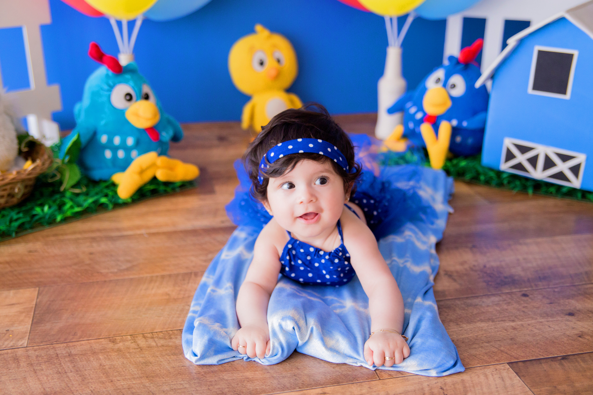 acompanhamento mensal de bebe caxias do sul figurino cenario tematico  personagem foto infantil serra gaucha fotografia familia mundo azul rosa ensaio fotografico crianca newborn baby menino menina smash the cake esmague o bolo banheira urso circo