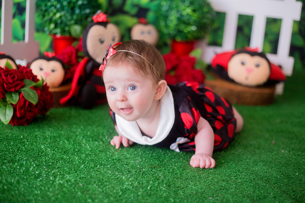 acompanhamento mensal de bebe caxias do sul figurino cenario tematico  personagem foto infantil serra gaucha fotografia familia mundo azul rosa ensaio fotografico crianca newborn baby menino menina smash the cake esmague o bolo banheira urso circo