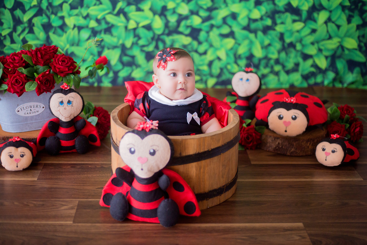 acompanhamento mensal de bebe caxias do sul figurino cenario tematico  personagem foto infantil serra gaucha fotografia familia mundo azul rosa ensaio fotografico crianca newborn baby menino menina smash the cake esmague o bolo banheira urso circo