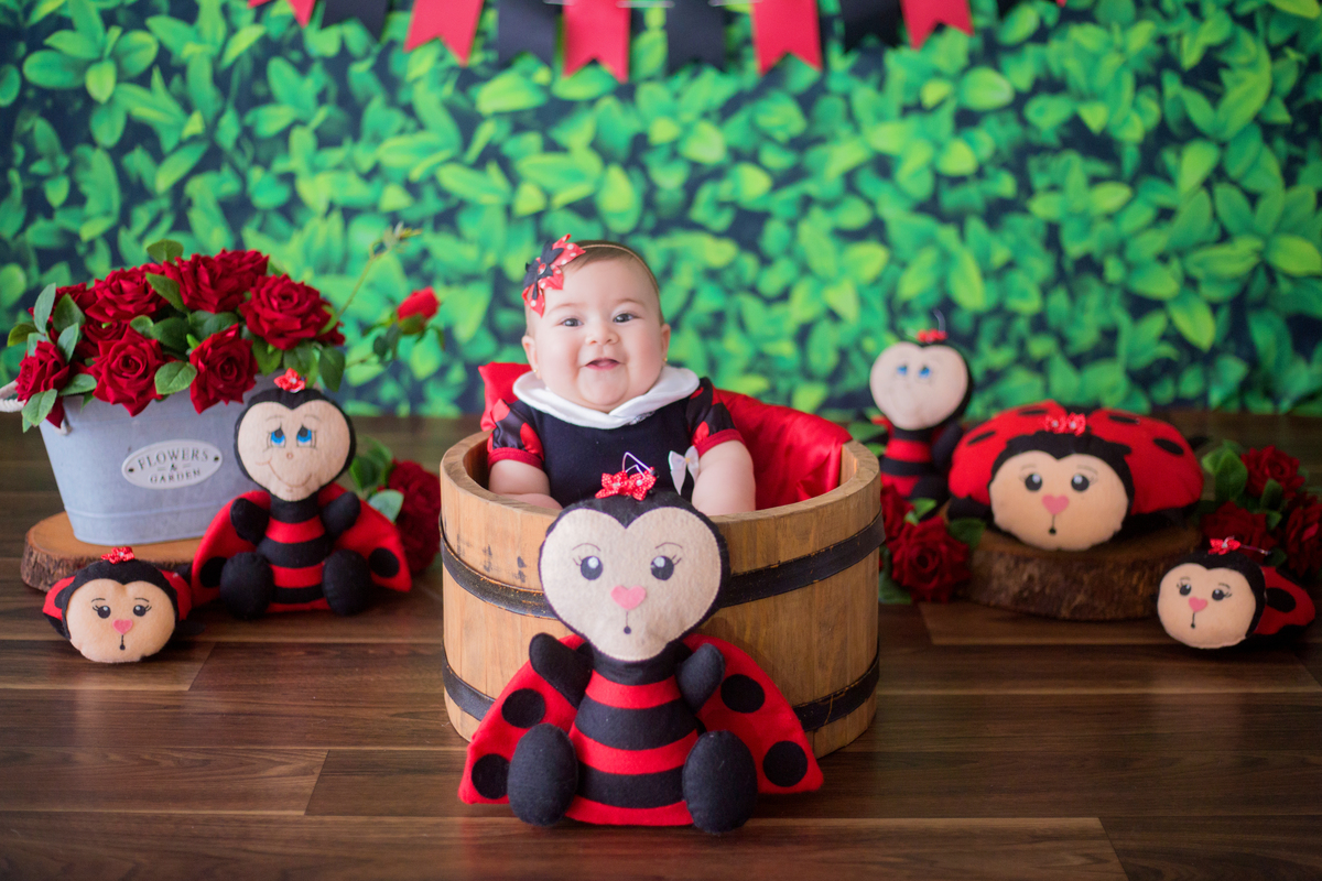 acompanhamento mensal de bebe caxias do sul figurino cenario tematico  personagem foto infantil serra gaucha fotografia familia mundo azul rosa ensaio fotografico crianca newborn baby menino menina smash the cake esmague o bolo banheira urso circo