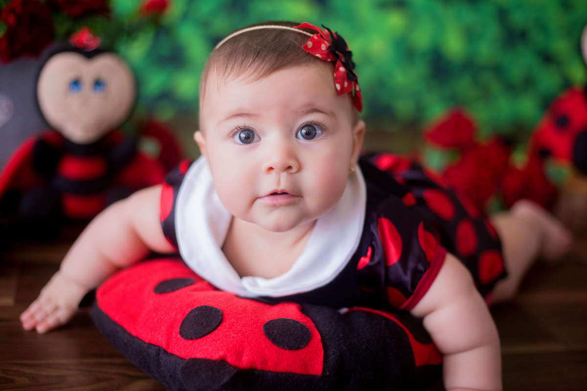 acompanhamento mensal de bebe caxias do sul figurino cenario tematico  personagem foto infantil serra gaucha fotografia familia mundo azul rosa ensaio fotografico crianca newborn baby menino menina smash the cake esmague o bolo banheira urso circo