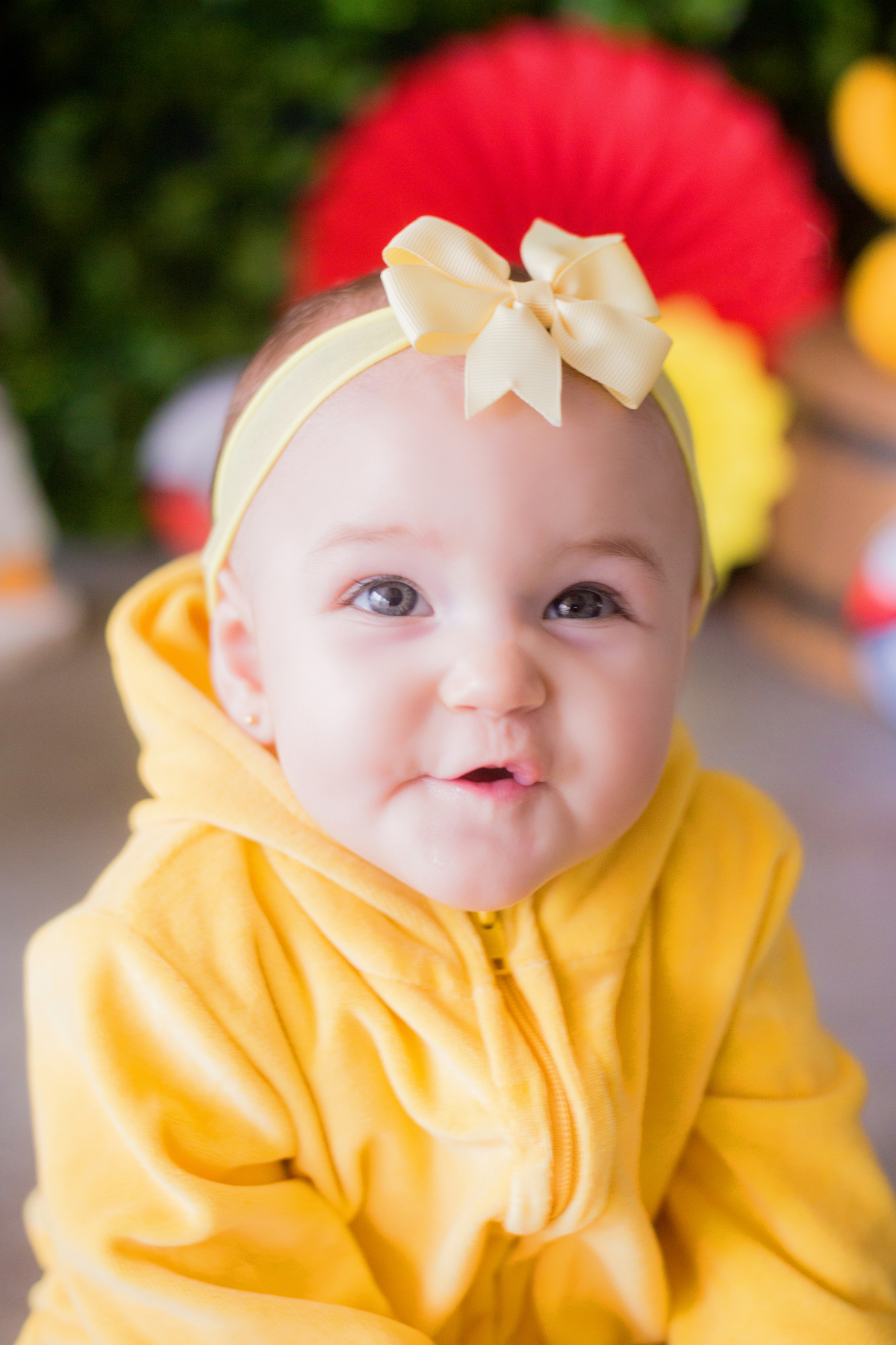 acompanhamento mensal de bebe caxias do sul figurino cenario tematico  personagem foto infantil serra gaucha fotografia familia mundo azul rosa ensaio fotografico crianca newborn baby menino menina smash the cake esmague o bolo banheira urso circo