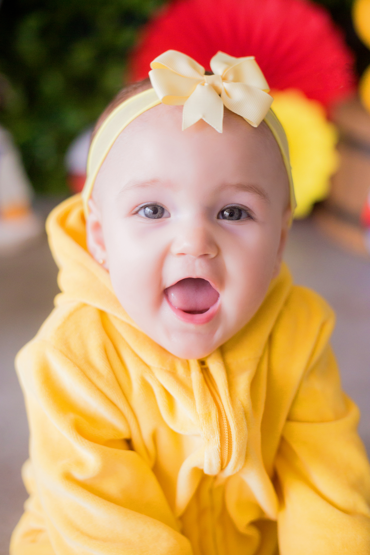 acompanhamento mensal de bebe caxias do sul figurino cenario tematico  personagem foto infantil serra gaucha fotografia familia mundo azul rosa ensaio fotografico crianca newborn baby menino menina smash the cake esmague o bolo banheira urso circo