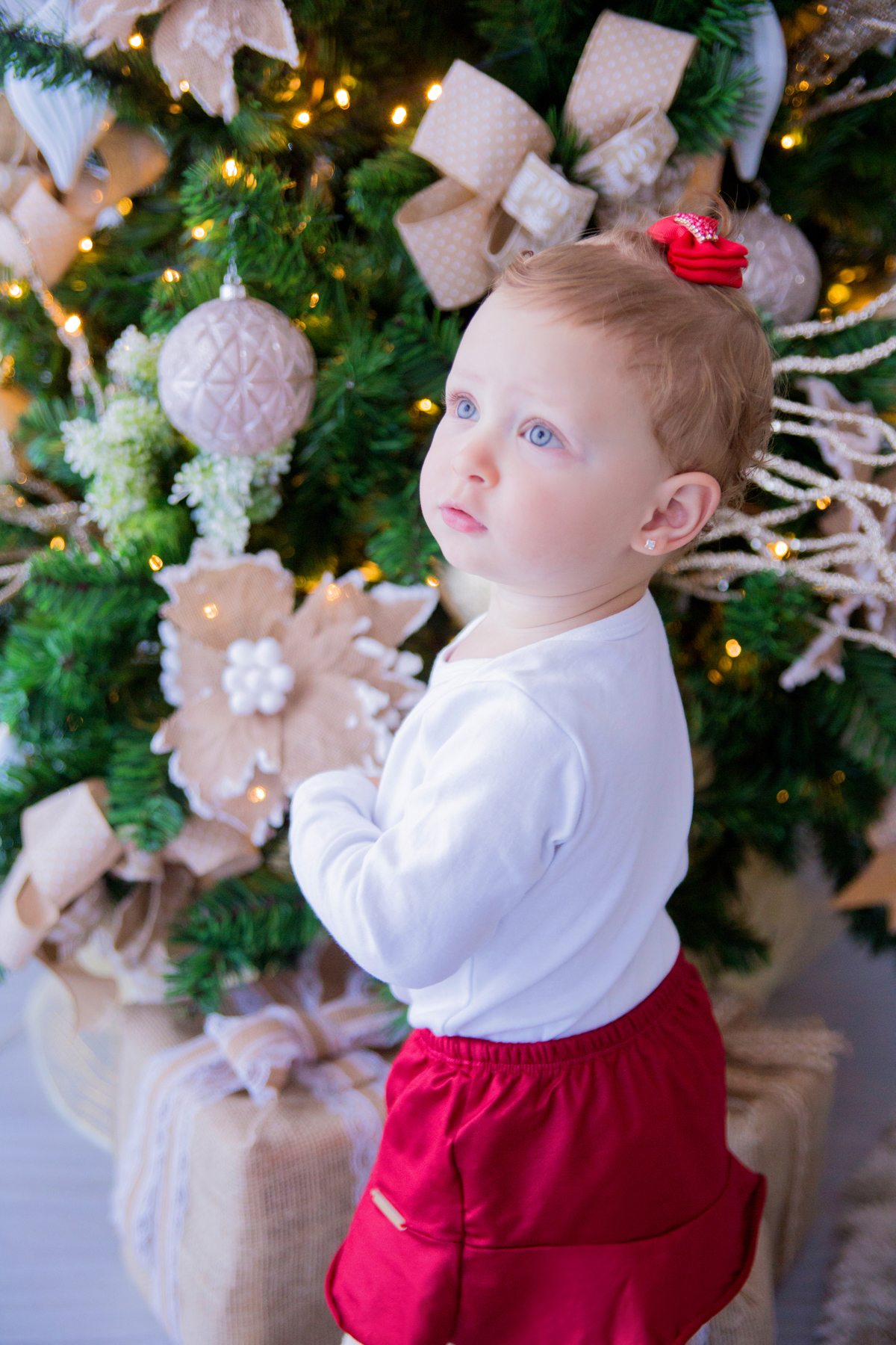 acompanhamento mensal de bebe caxias do sul figurino cenario tematico  personagem foto infantil serra gaucha fotografia familia mundo azul rosa ensaio fotografico crianca newborn baby menino menina smash the cake esmague o bolo banheira urso circo