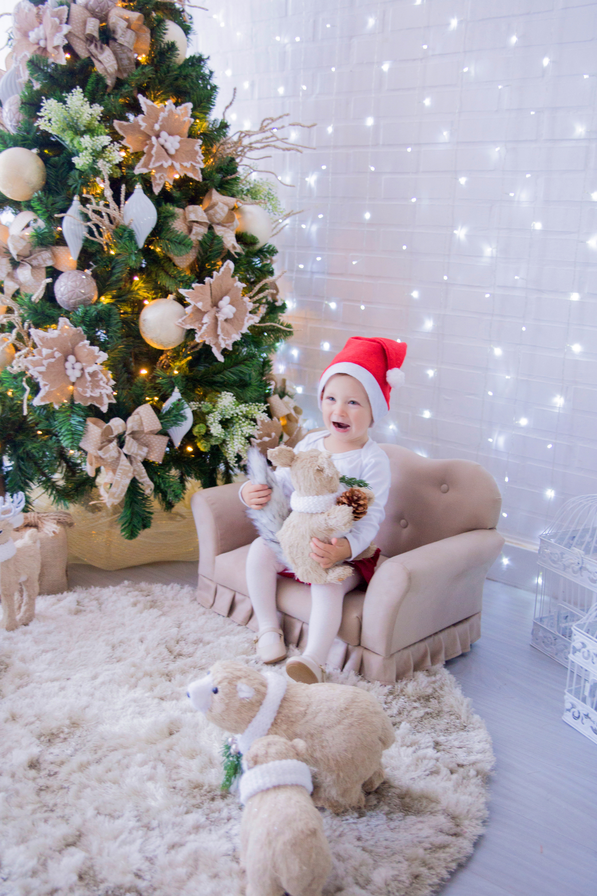 acompanhamento mensal de bebe caxias do sul figurino cenario tematico  personagem foto infantil serra gaucha fotografia familia mundo azul rosa ensaio fotografico crianca newborn baby menino menina smash the cake esmague o bolo banheira urso circo