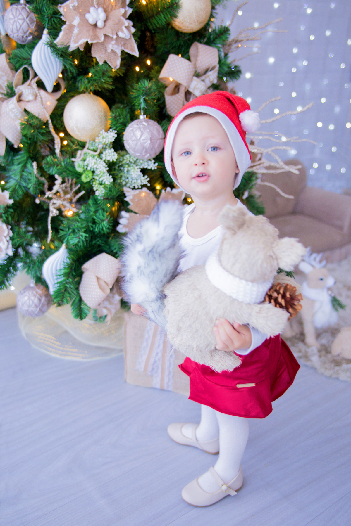 acompanhamento mensal de bebe caxias do sul figurino cenario tematico  personagem foto infantil serra gaucha fotografia familia mundo azul rosa ensaio fotografico crianca newborn baby menino menina smash the cake esmague o bolo banheira urso circo