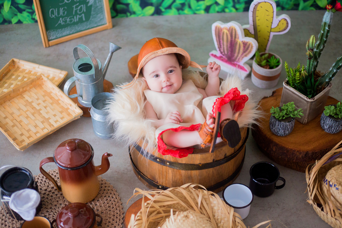 acompanhamento mensal de bebe caxias do sul figurino cenario tematico  personagem foto infantil serra gaucha fotografia familia mundo azul rosa ensaio fotografico crianca newborn baby menino menina smash the cake esmague o bolo banheira urso circo