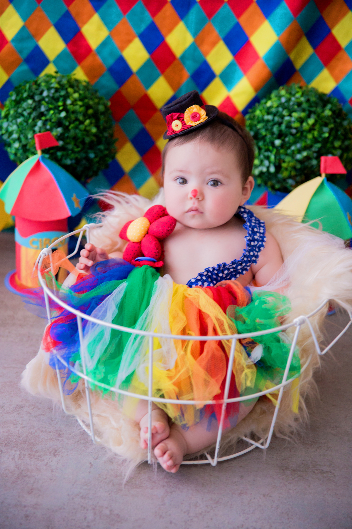 acompanhamento mensal de bebe caxias do sul figurino cenario tematico  personagem foto infantil serra gaucha fotografia familia mundo azul rosa ensaio fotografico crianca newborn baby menino menina smash the cake esmague o bolo banheira urso circo