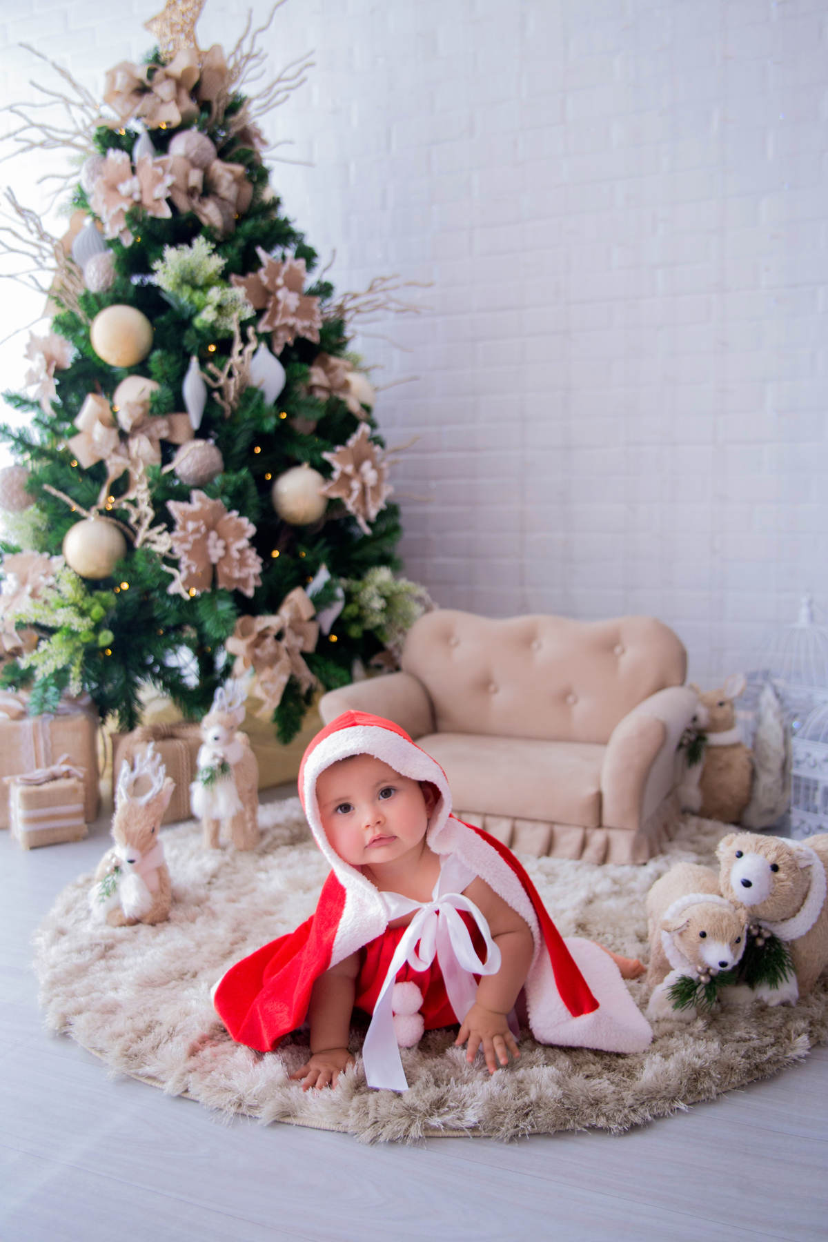acompanhamento mensal de bebe caxias do sul figurino cenario tematico  personagem foto infantil serra gaucha fotografia familia mundo azul rosa ensaio fotografico crianca newborn baby menino menina smash the cake esmague o bolo banheira urso circo