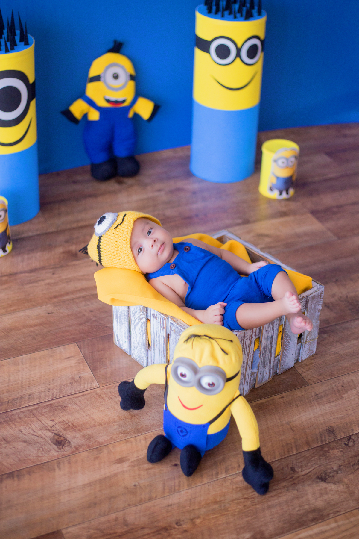 acompanhamento mensal de bebe caxias do sul figurino cenario tematico  personagem foto infantil serra gaucha fotografia familia mundo azul rosa ensaio fotografico crianca newborn baby menino menina smash the cake esmague o bolo banheira urso circo