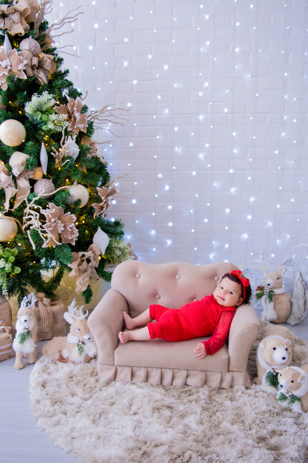 acompanhamento mensal de bebe caxias do sul figurino cenario tematico  personagem foto infantil serra gaucha fotografia familia mundo azul rosa ensaio fotografico crianca newborn baby menino menina smash the cake esmague o bolo banheira urso circo