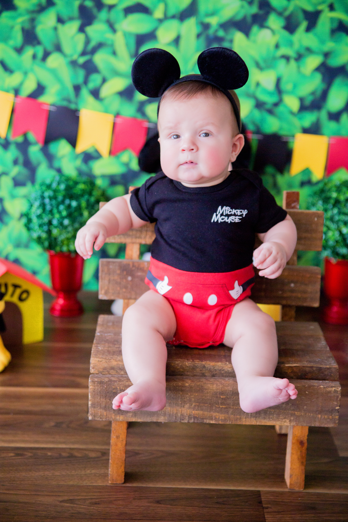 acompanhamento mensal de bebe caxias do sul figurino cenario tematico  personagem foto infantil serra gaucha fotografia familia mundo azul rosa ensaio fotografico crianca newborn baby menino menina smash the cake esmague o bolo banheira urso circo