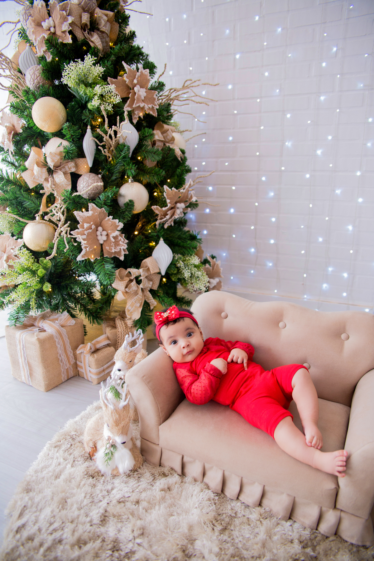 acompanhamento mensal de bebe caxias do sul figurino cenario tematico  personagem foto infantil serra gaucha fotografia familia mundo azul rosa ensaio fotografico crianca newborn baby menino menina smash the cake esmague o bolo banheira urso circo