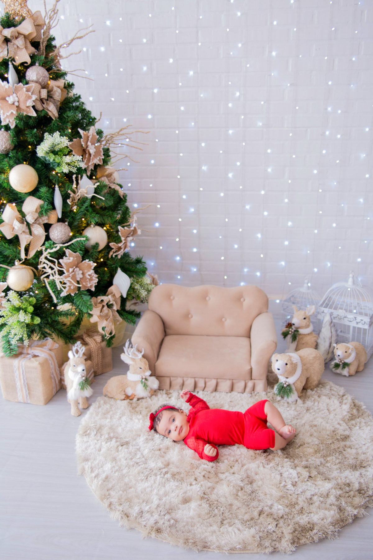 acompanhamento mensal de bebe caxias do sul figurino cenario tematico  personagem foto infantil serra gaucha fotografia familia mundo azul rosa ensaio fotografico crianca newborn baby menino menina smash the cake esmague o bolo banheira urso circo