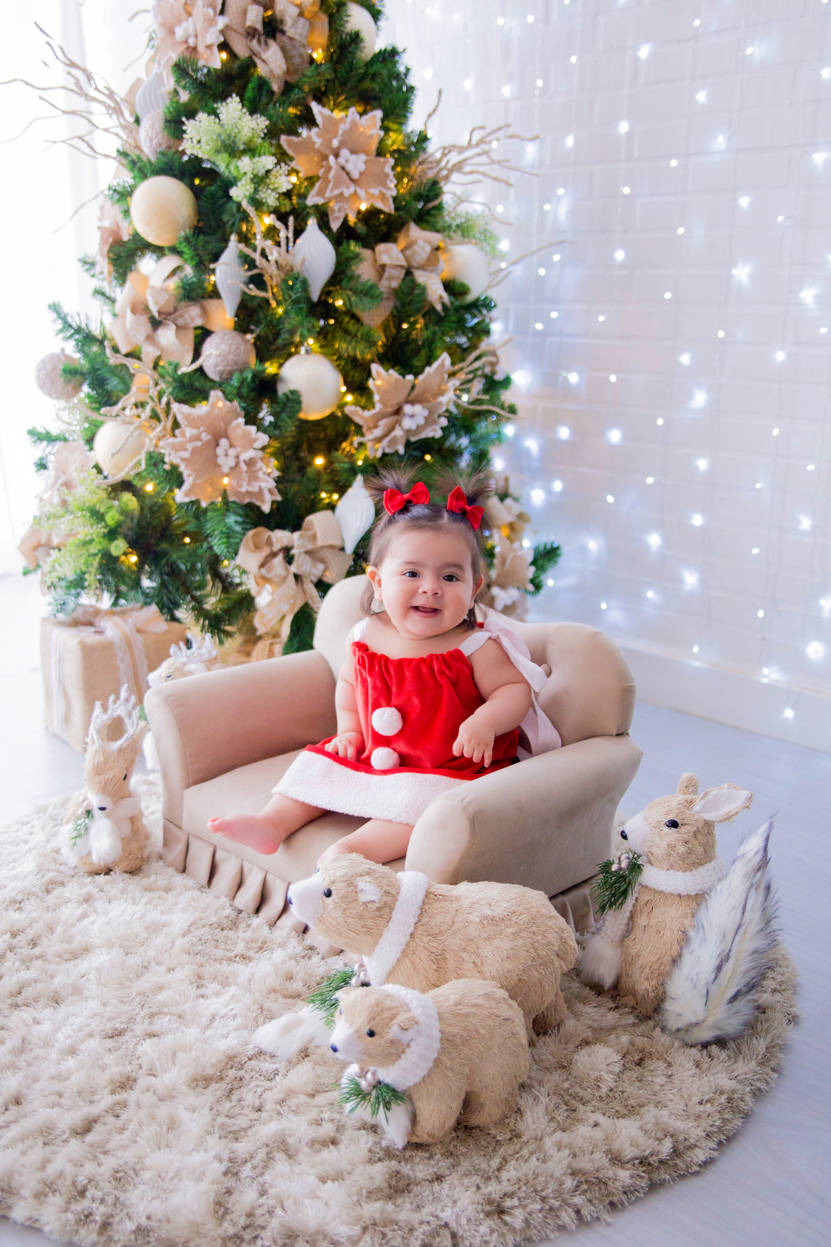acompanhamento mensal de bebe caxias do sul figurino cenario tematico  personagem foto infantil serra gaucha fotografia familia mundo azul rosa ensaio fotografico crianca newborn baby menino menina smash the cake esmague o bolo banheira urso circo