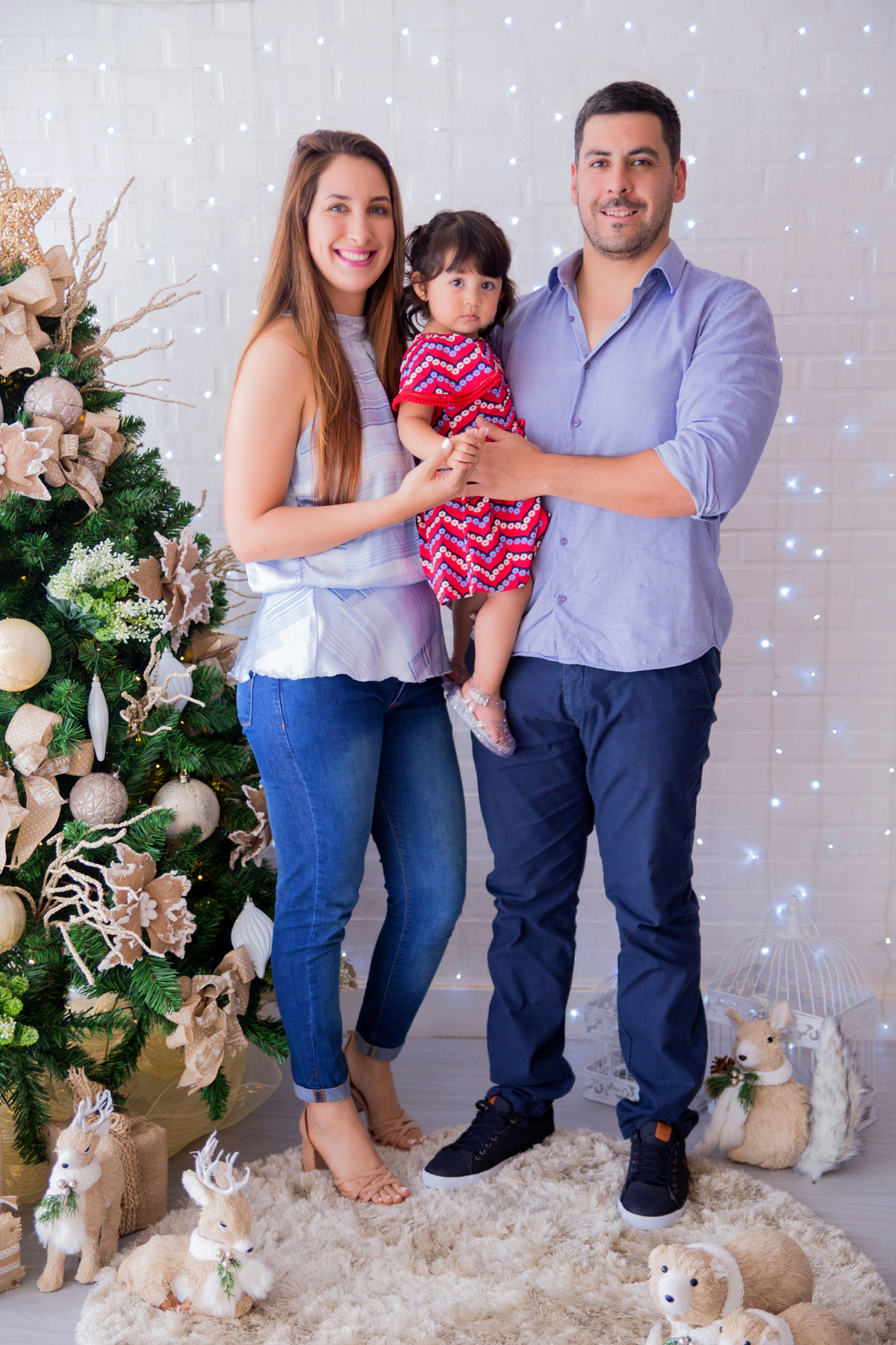 acompanhamento mensal de bebe caxias do sul figurino cenario tematico  personagem foto infantil serra gaucha fotografia familia mundo azul rosa ensaio fotografico crianca newborn baby menino menina smash the cake esmague o bolo banheira urso circo