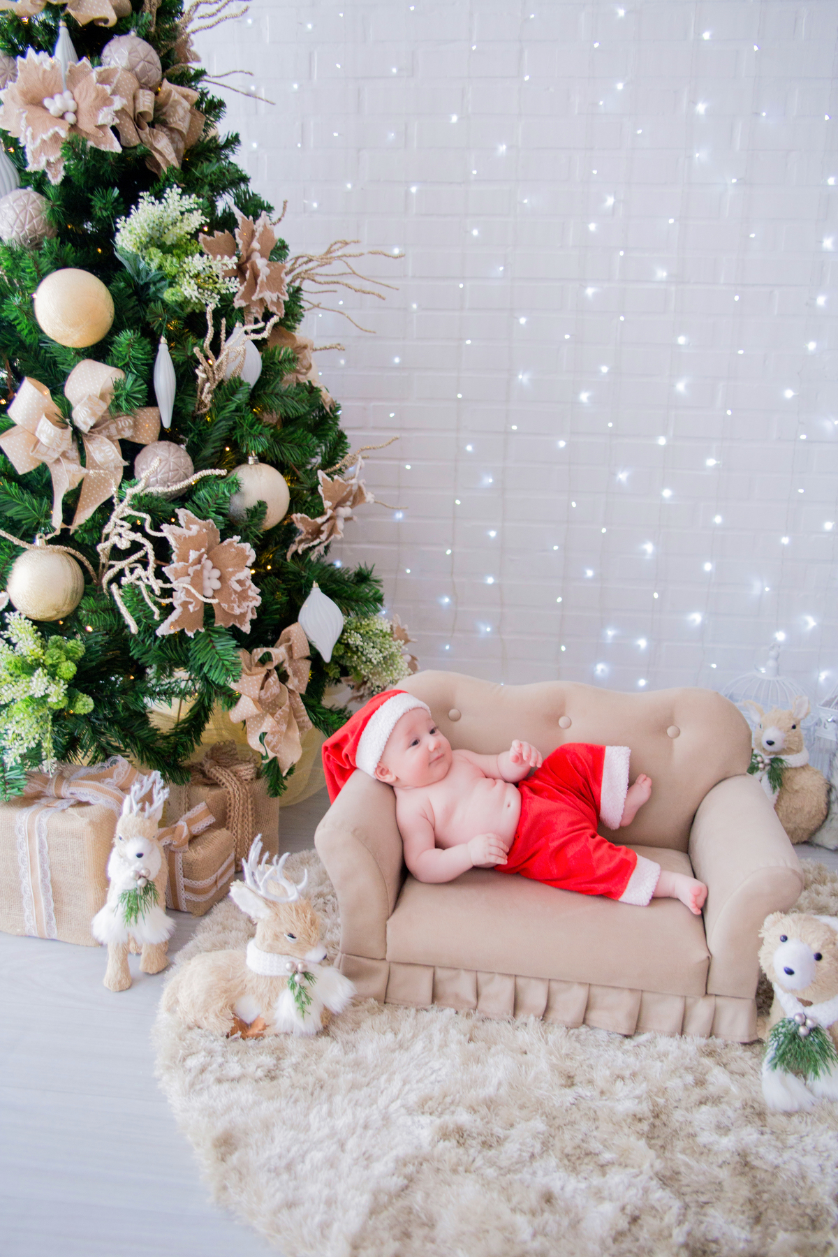 acompanhamento mensal de bebe caxias do sul figurino cenario tematico  personagem foto infantil serra gaucha fotografia familia mundo azul rosa ensaio fotografico crianca newborn baby menino menina smash the cake esmague o bolo banheira urso circo