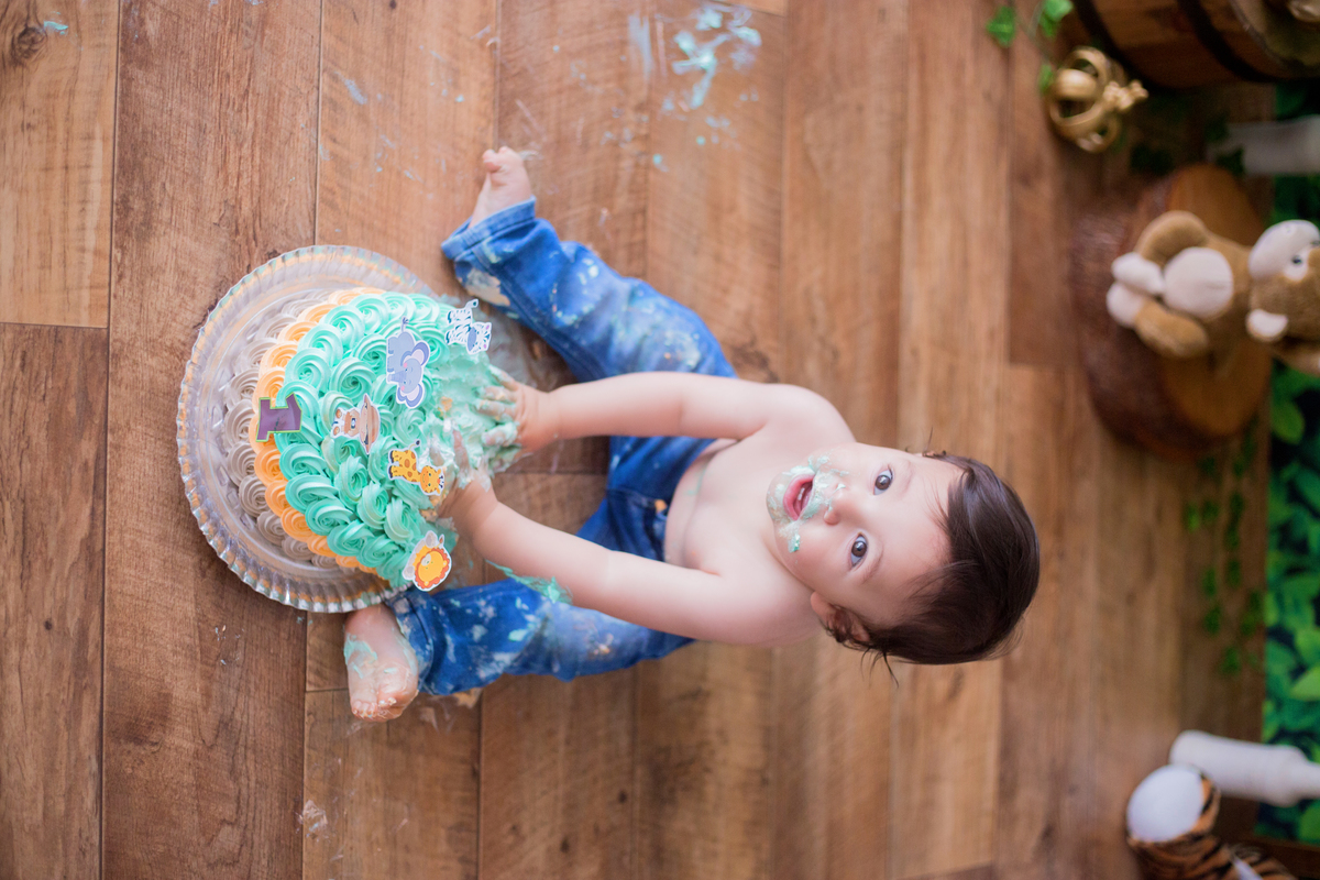 acompanhamento mensal de bebe caxias do sul figurino cenario tematico  personagem foto infantil serra gaucha fotografia familia mundo azul rosa ensaio fotografico crianca newborn baby menino menina smash the cake esmague o bolo banheira urso circo