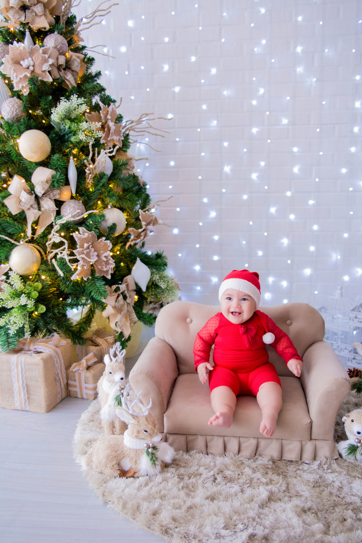 acompanhamento mensal de bebe caxias do sul figurino cenario tematico  personagem foto infantil serra gaucha fotografia familia mundo azul rosa ensaio fotografico crianca newborn baby menino menina smash the cake esmague o bolo banheira urso circo