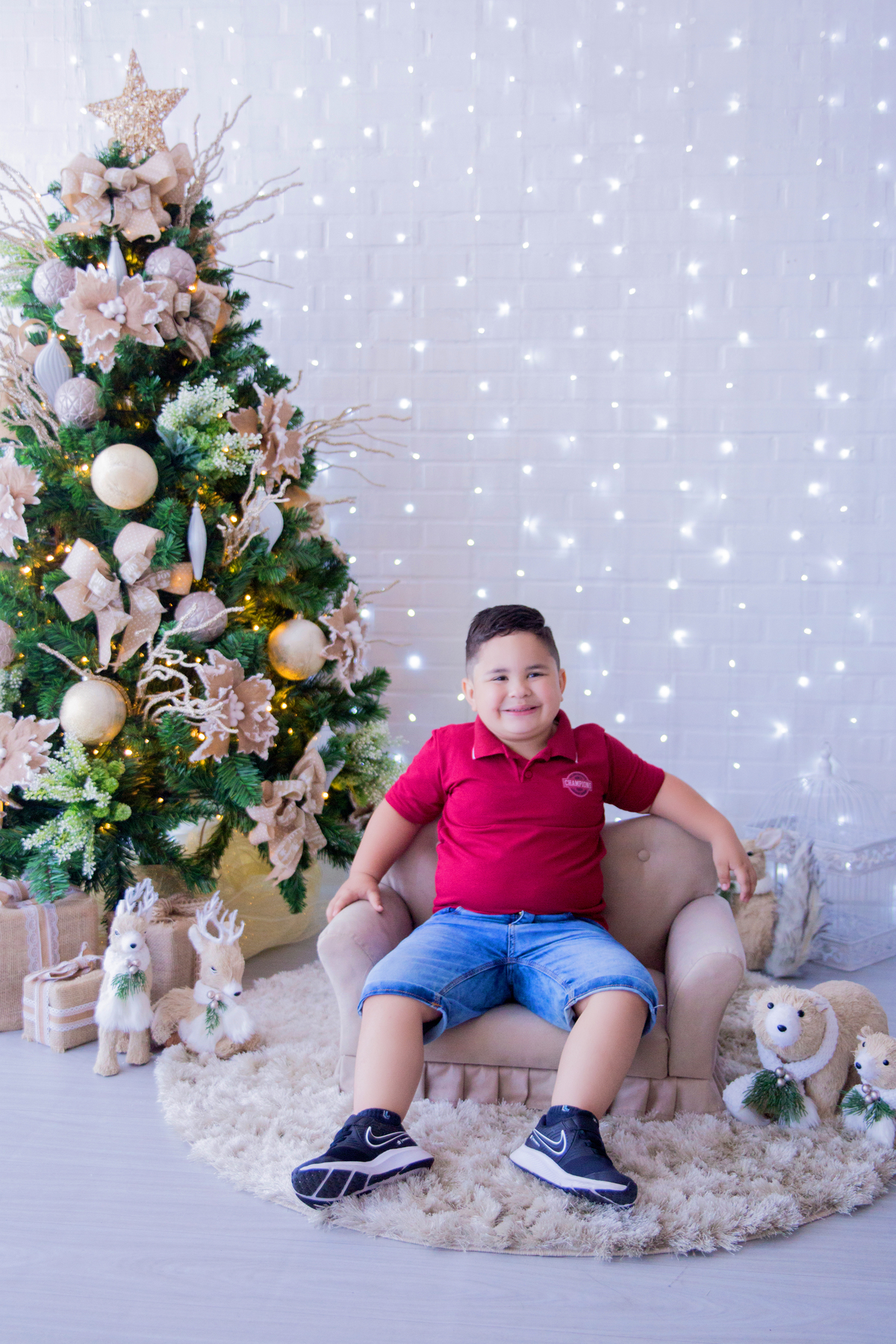 acompanhamento mensal de bebe caxias do sul figurino cenario tematico  personagem foto infantil serra gaucha fotografia familia mundo azul rosa ensaio fotografico crianca newborn baby menino menina smash the cake esmague o bolo banheira urso circo