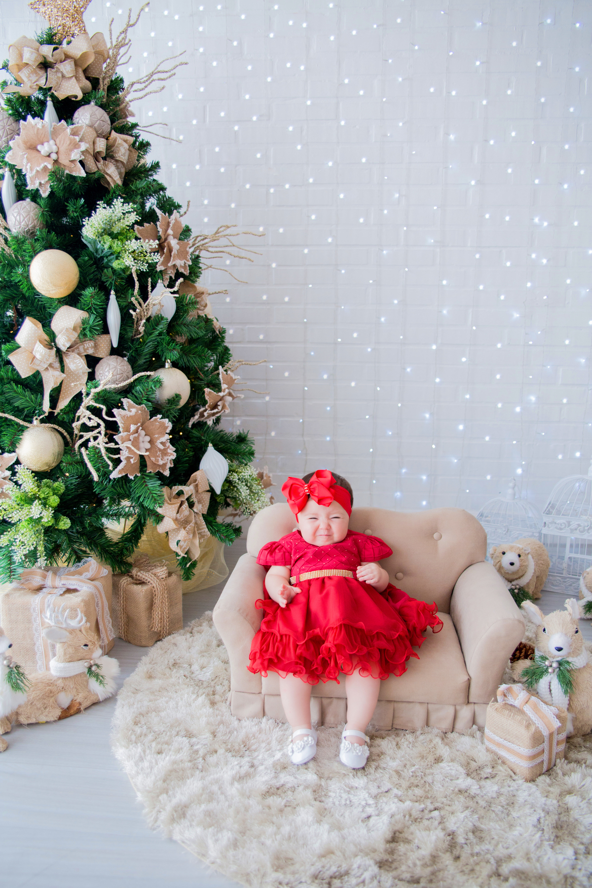 acompanhamento mensal de bebe caxias do sul figurino cenario tematico  personagem foto infantil serra gaucha fotografia familia mundo azul rosa ensaio fotografico crianca newborn baby menino menina smash the cake esmague o bolo banheira urso circo