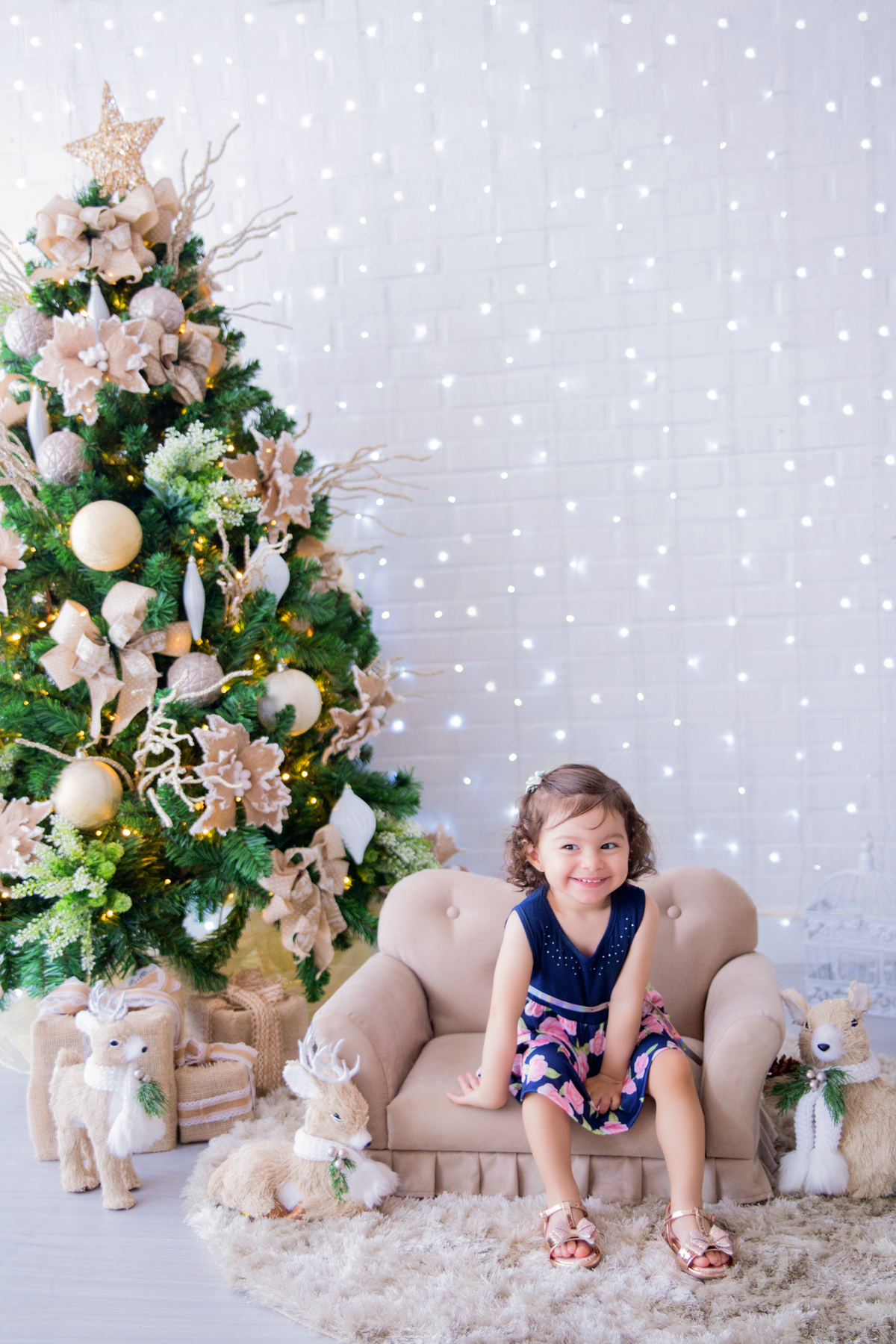 acompanhamento mensal de bebe caxias do sul figurino cenario tematico  personagem foto infantil serra gaucha fotografia familia mundo azul rosa ensaio fotografico crianca newborn baby menino menina smash the cake esmague o bolo banheira urso circo