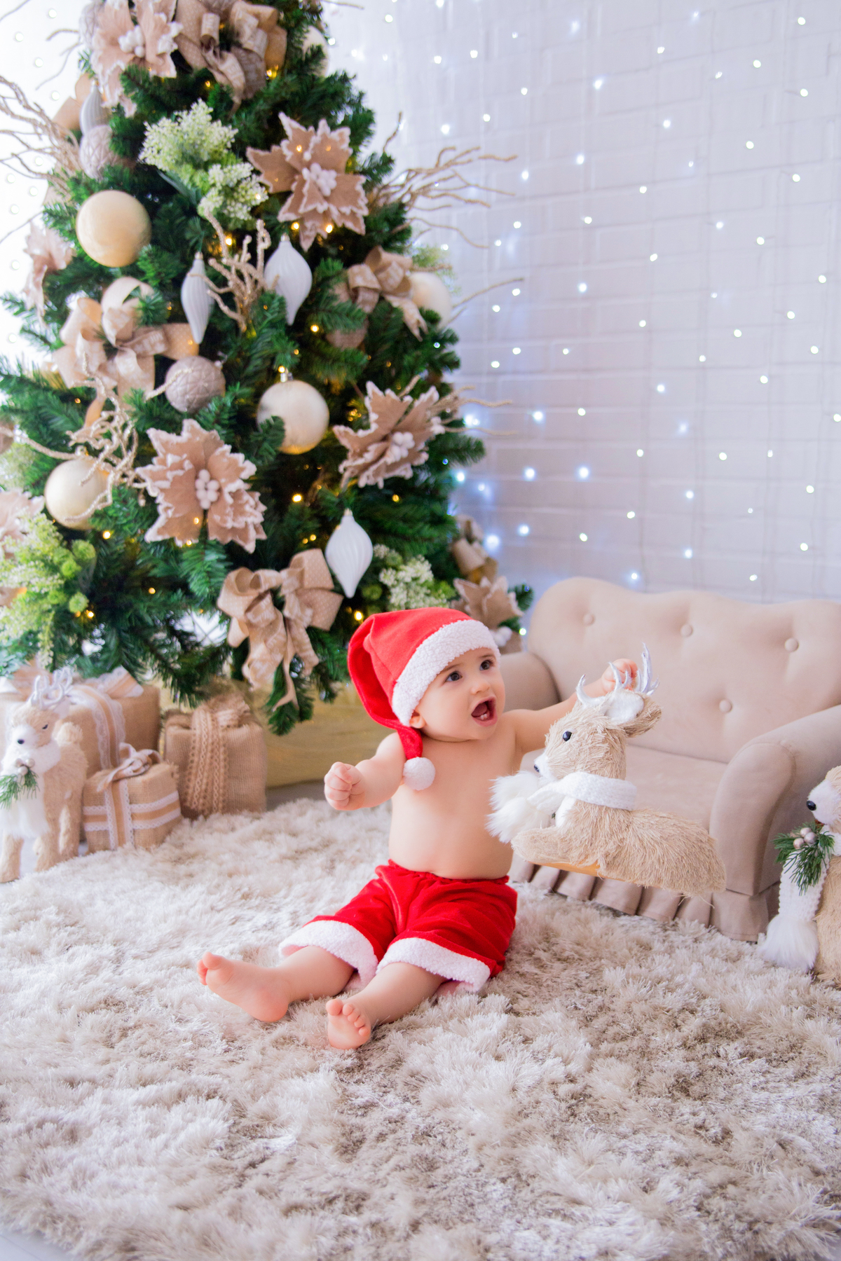acompanhamento mensal de bebe caxias do sul figurino cenario tematico  personagem foto infantil serra gaucha fotografia familia mundo azul rosa ensaio fotografico crianca newborn baby menino menina smash the cake esmague o bolo banheira urso circo