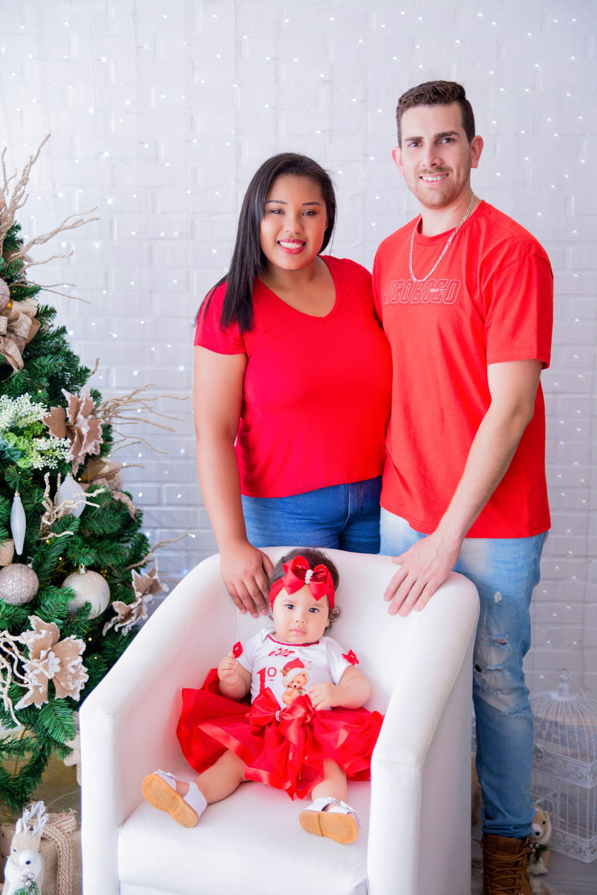 acompanhamento mensal de bebe caxias do sul figurino cenario tematico  personagem foto infantil serra gaucha fotografia familia mundo azul rosa ensaio fotografico crianca newborn baby menino menina smash the cake esmague o bolo banheira urso circo